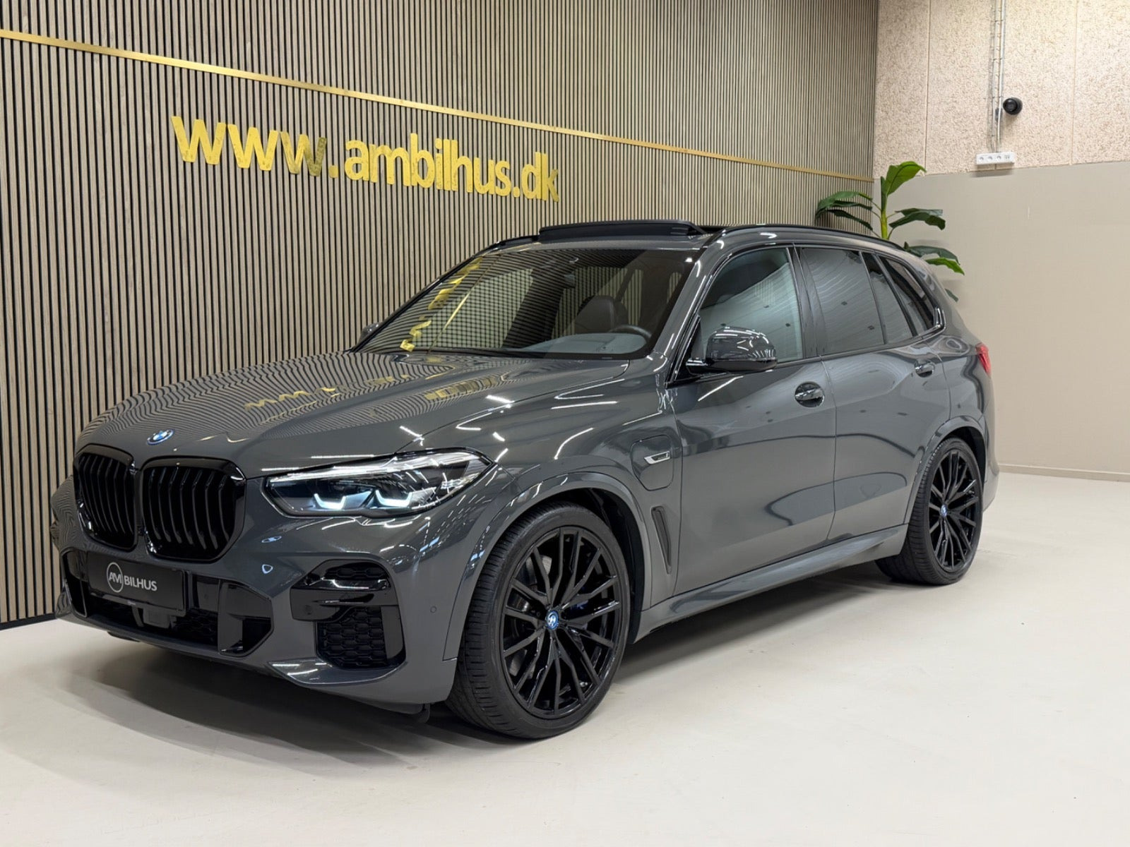 BMW X5 3,0 xDrive45e M-Sport+ aut.
