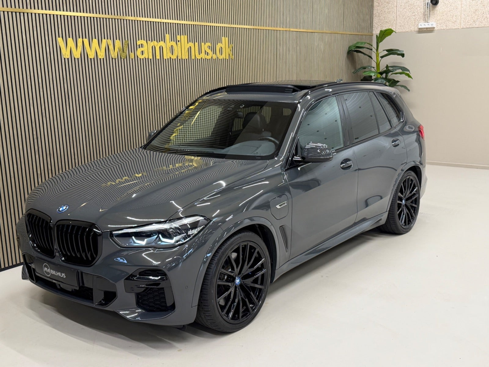 Grå BMW X5 fra 2023