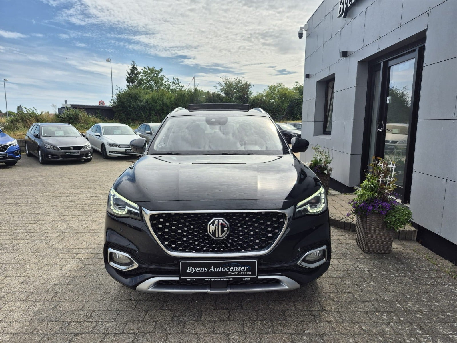 Sort MG EHS fra 2021