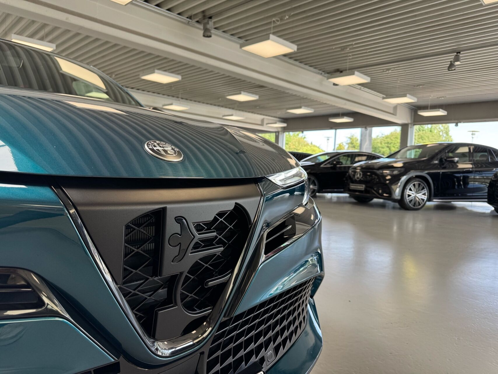 Blå Alfa Romeo Junior fra 2024