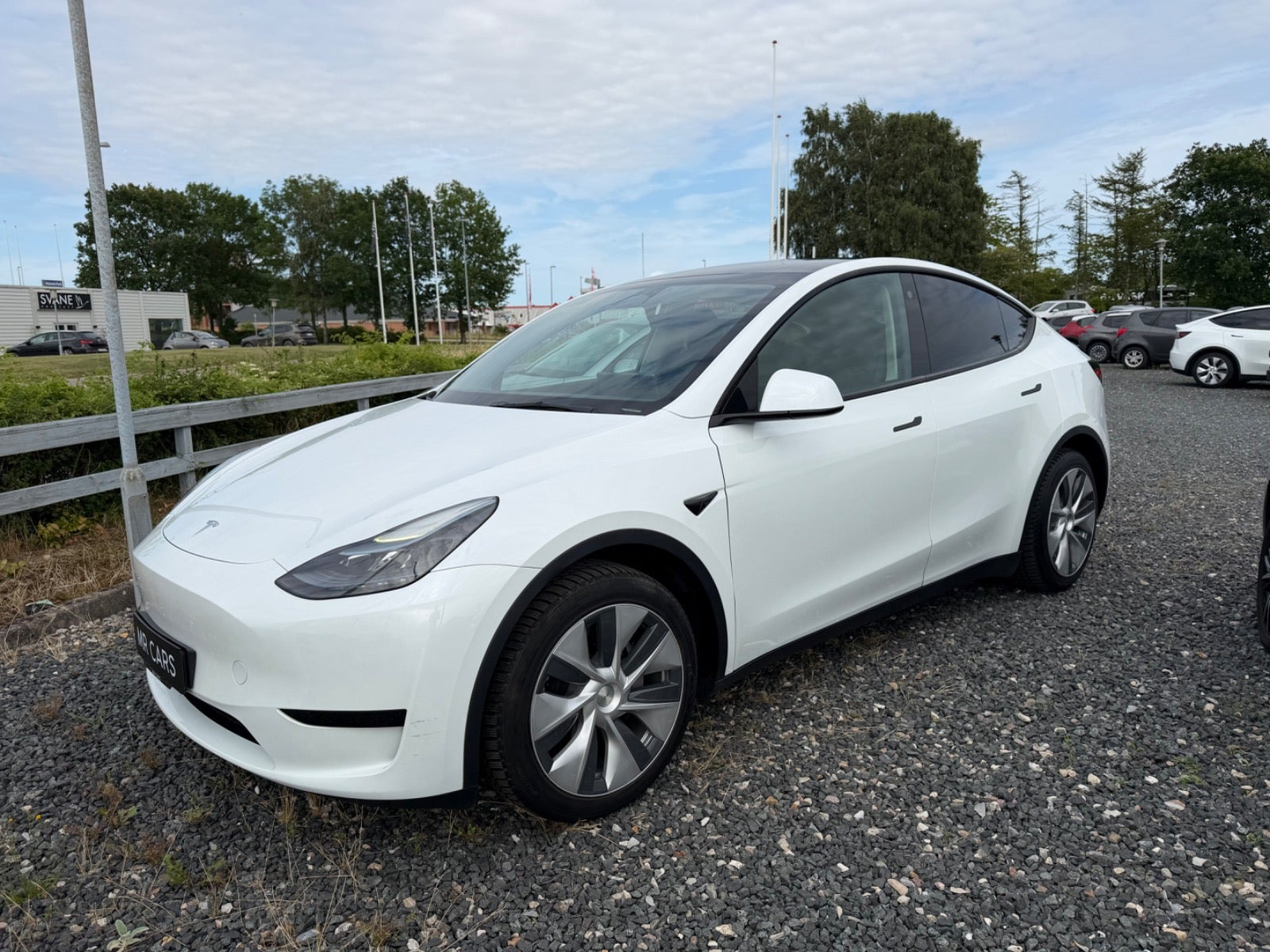 Tesla Model Y RWD