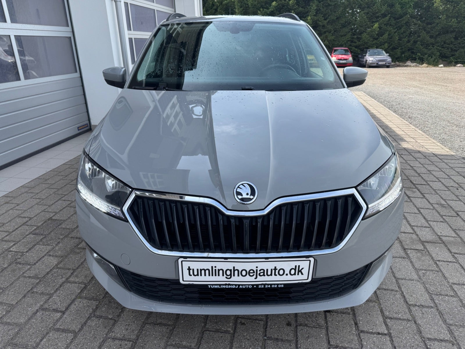 Grå Skoda Fabia fra 2022