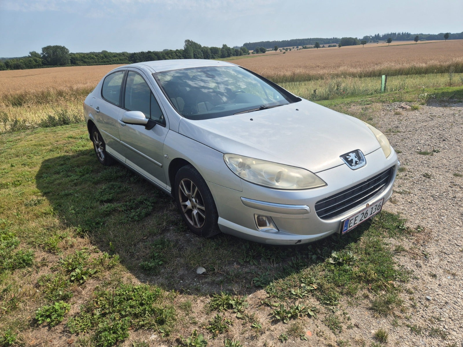 Sølv Peugeot 407 fra 2008