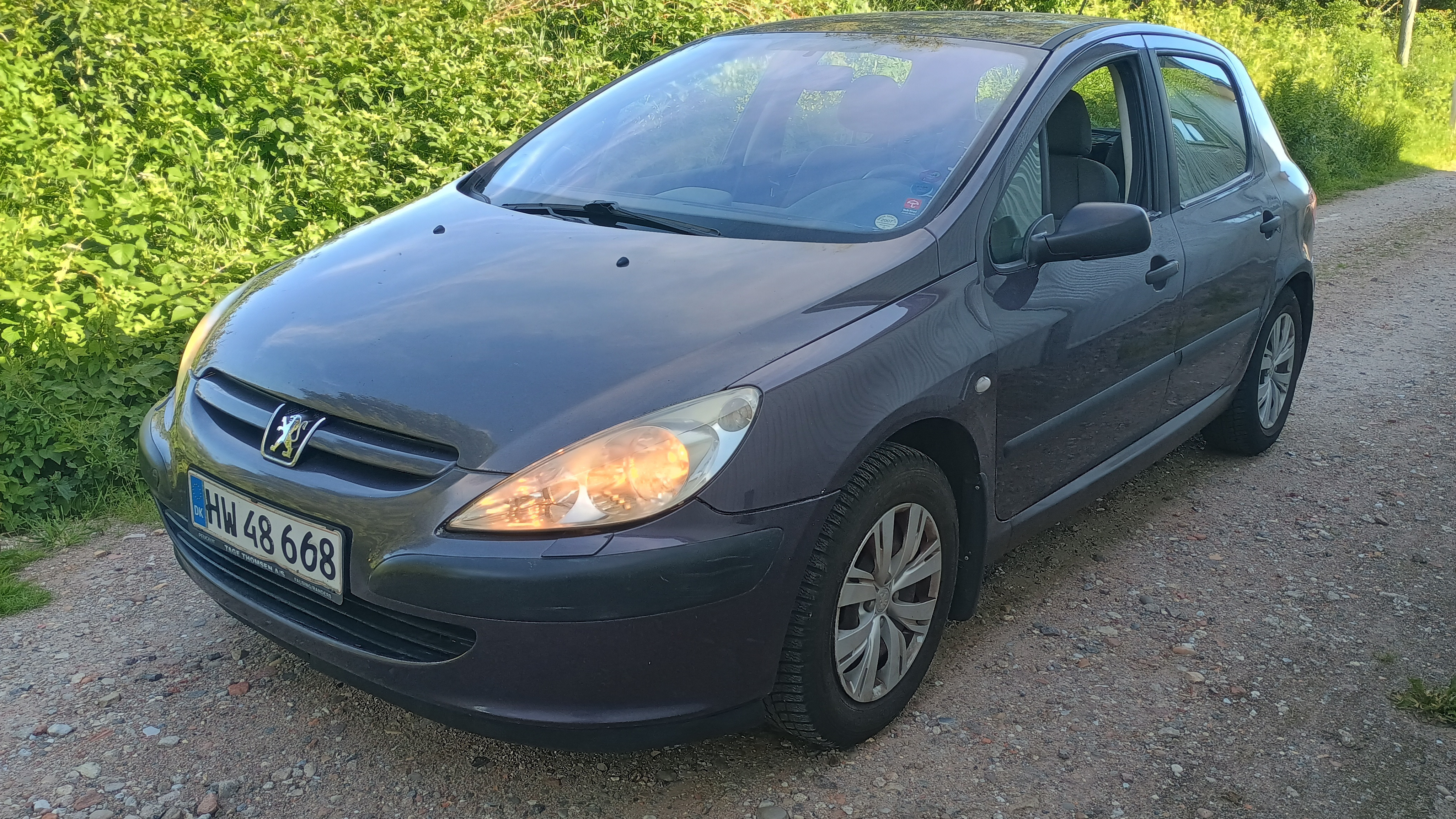 Peugeot 307 1,6