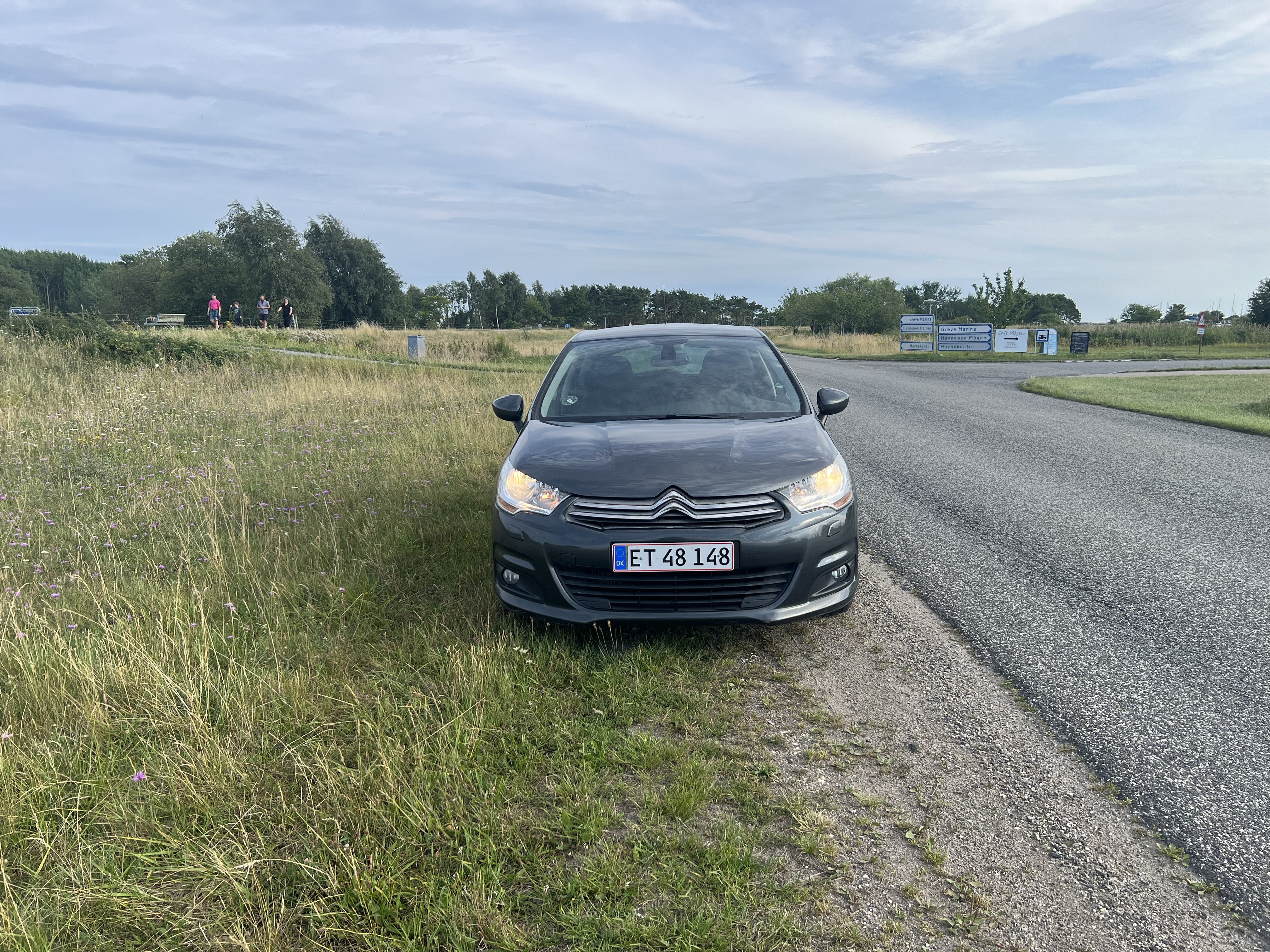 Grå Citroën C4 fra 2014