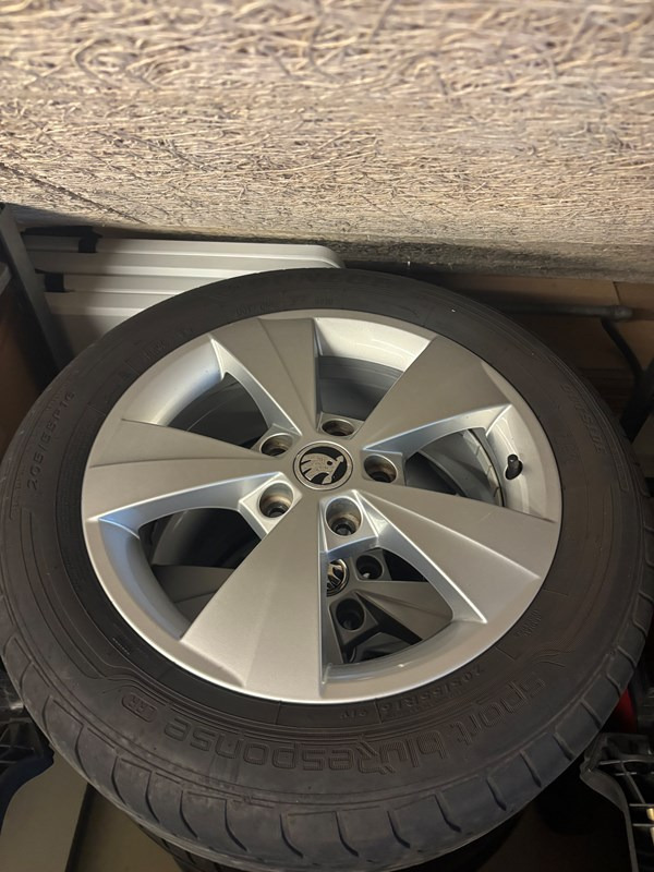 undefined Skoda Octavia fra 2020