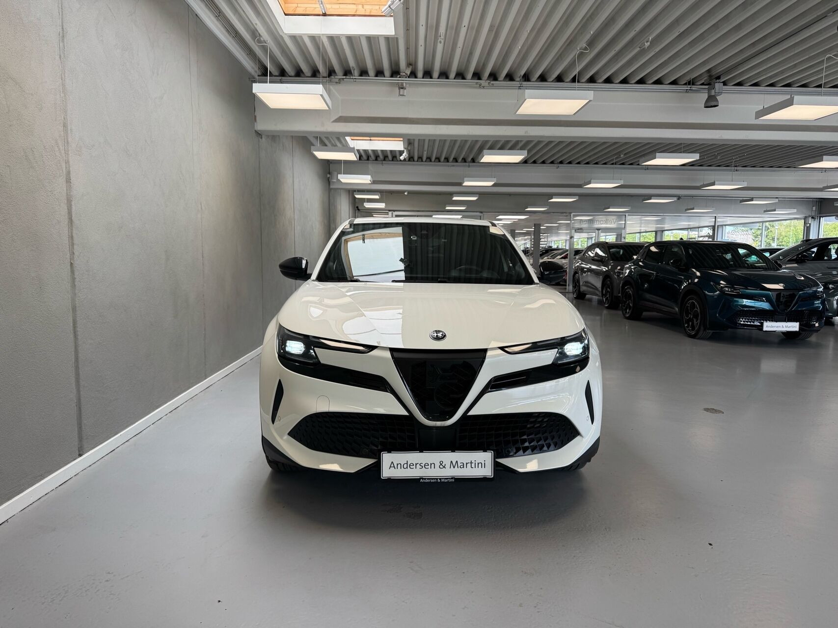 Hvid Alfa Romeo Junior fra 2025