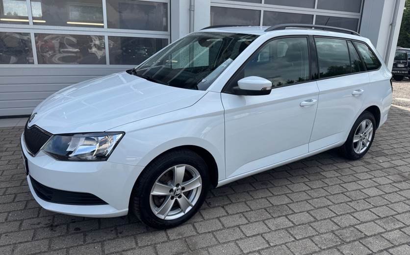 Skoda Fabia 1,0 TSi 110 Ambition Combi DSG