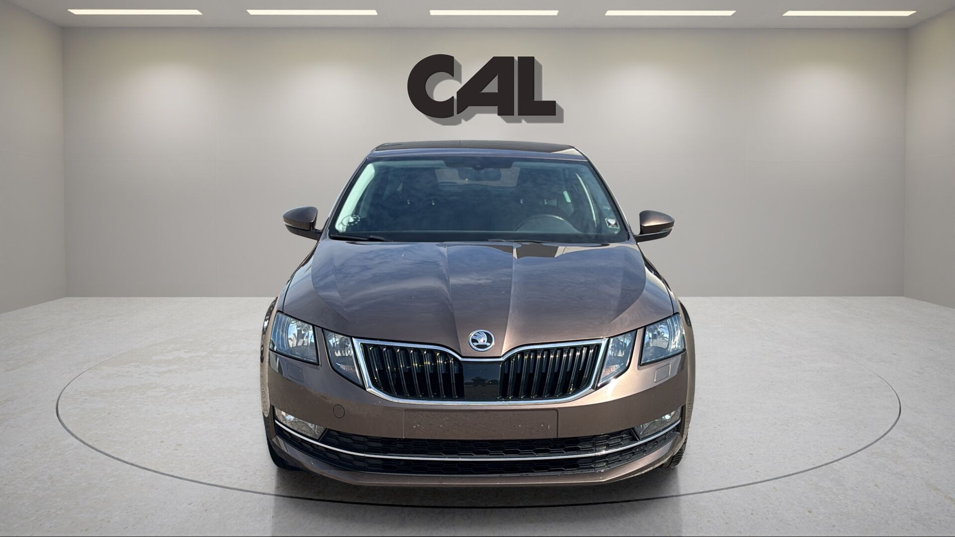 undefined Skoda Octavia fra 2019