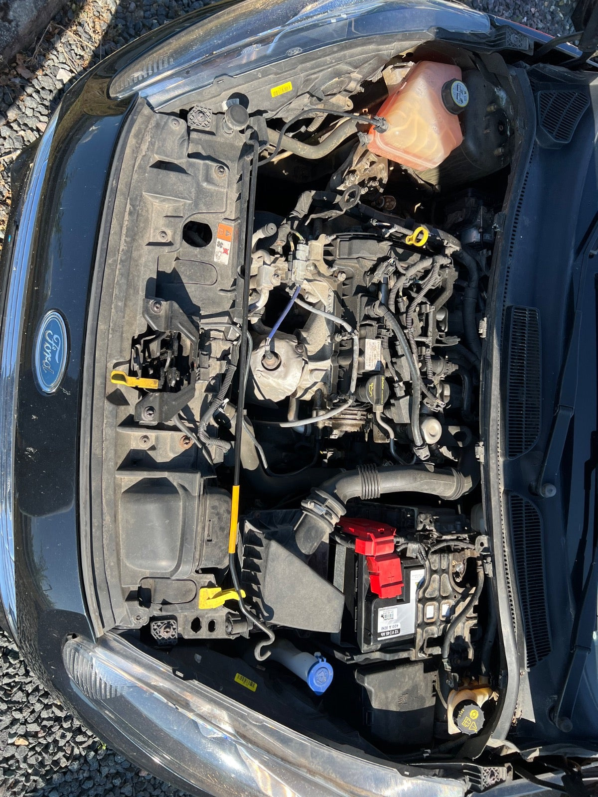 Grøn Ford Fiesta fra 2014