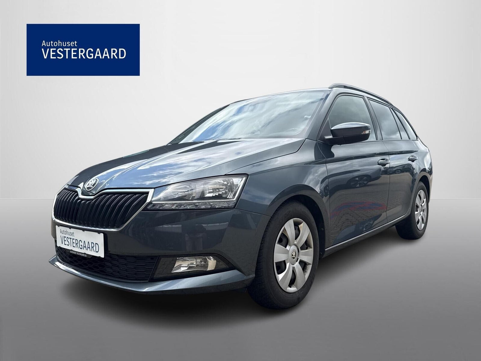 Skoda Fabia 1,0 TSi 95 Life Combi DSG