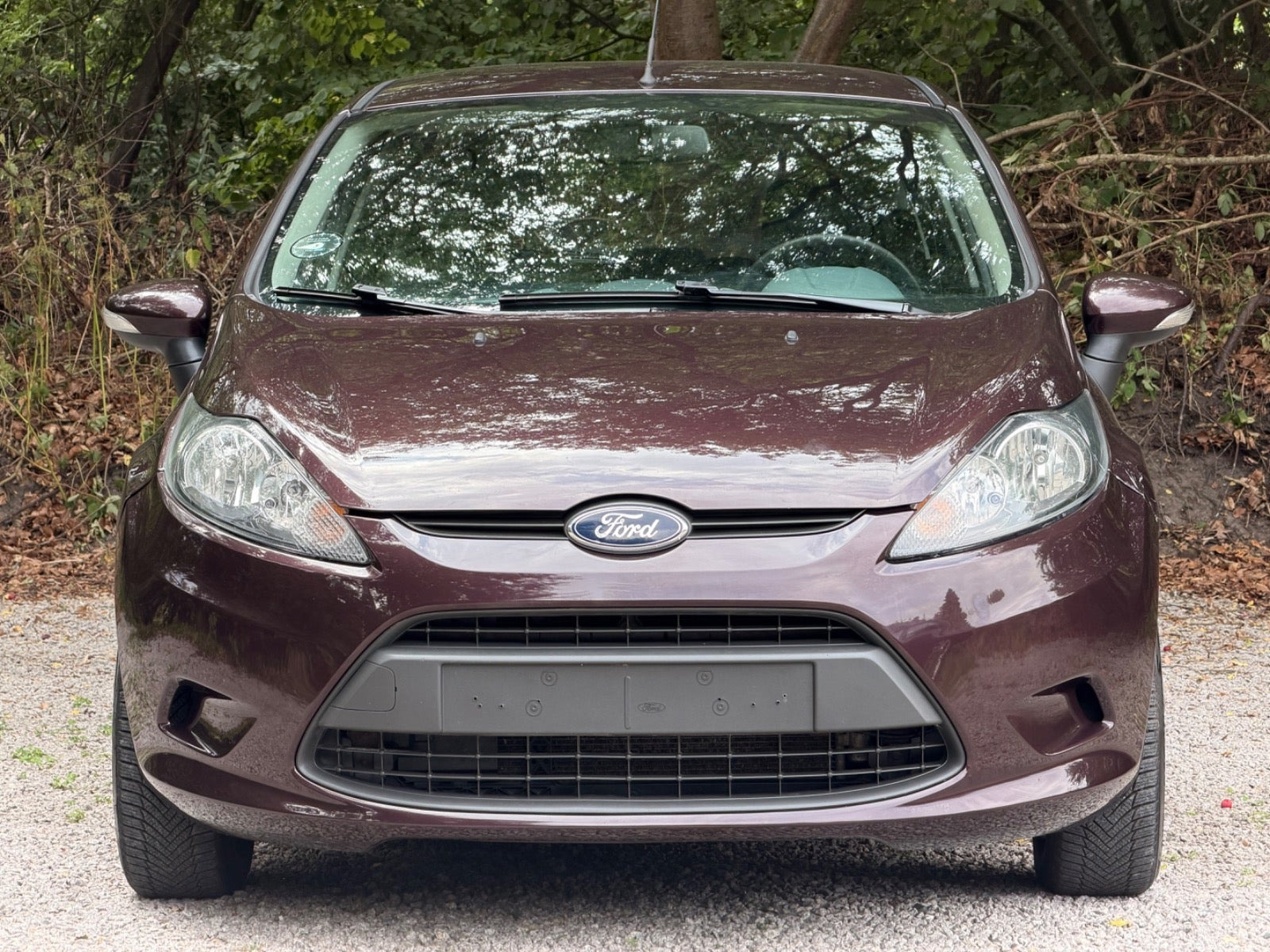 undefined Ford Fiesta fra 2010