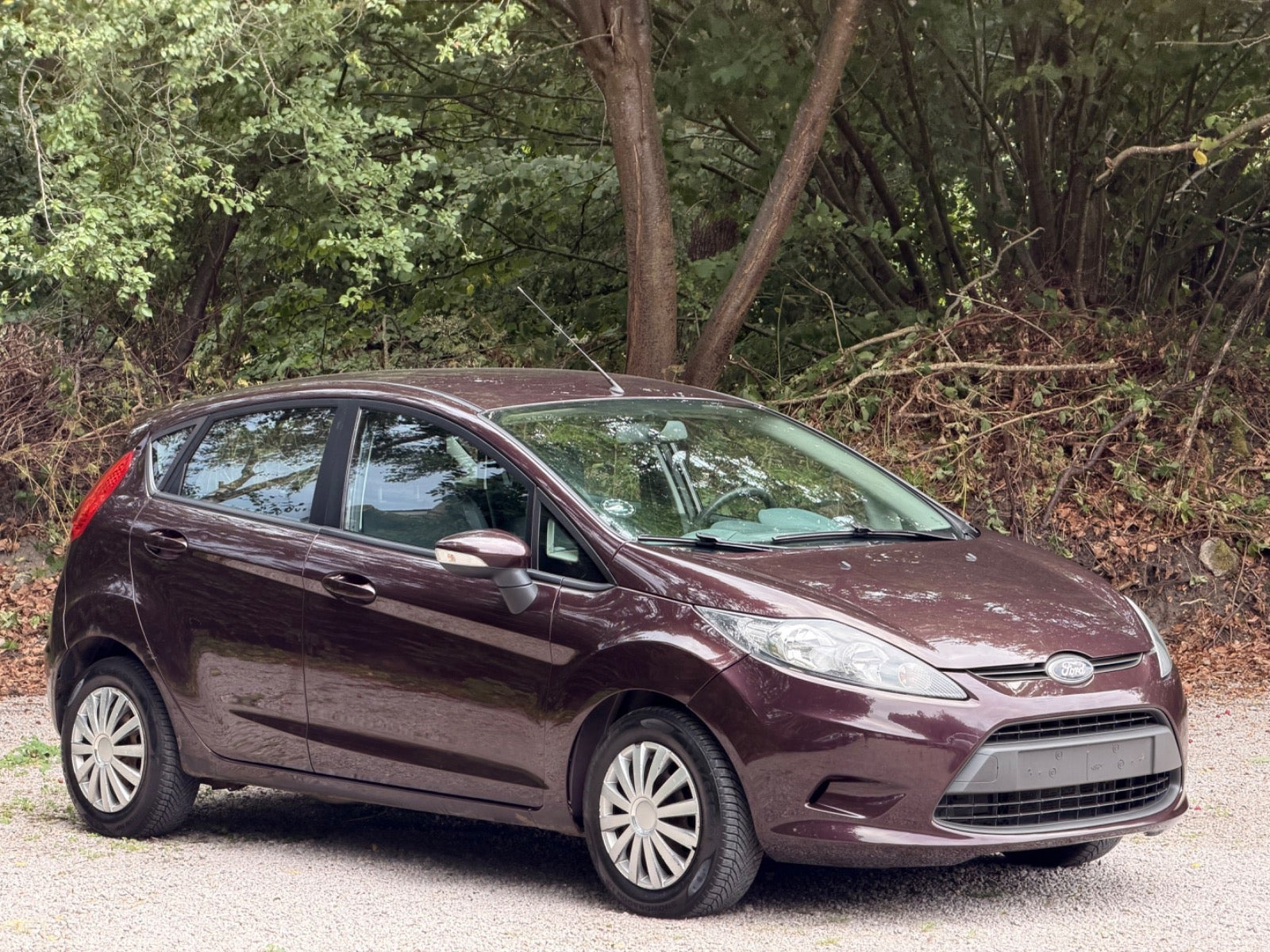 undefined Ford Fiesta fra 2010