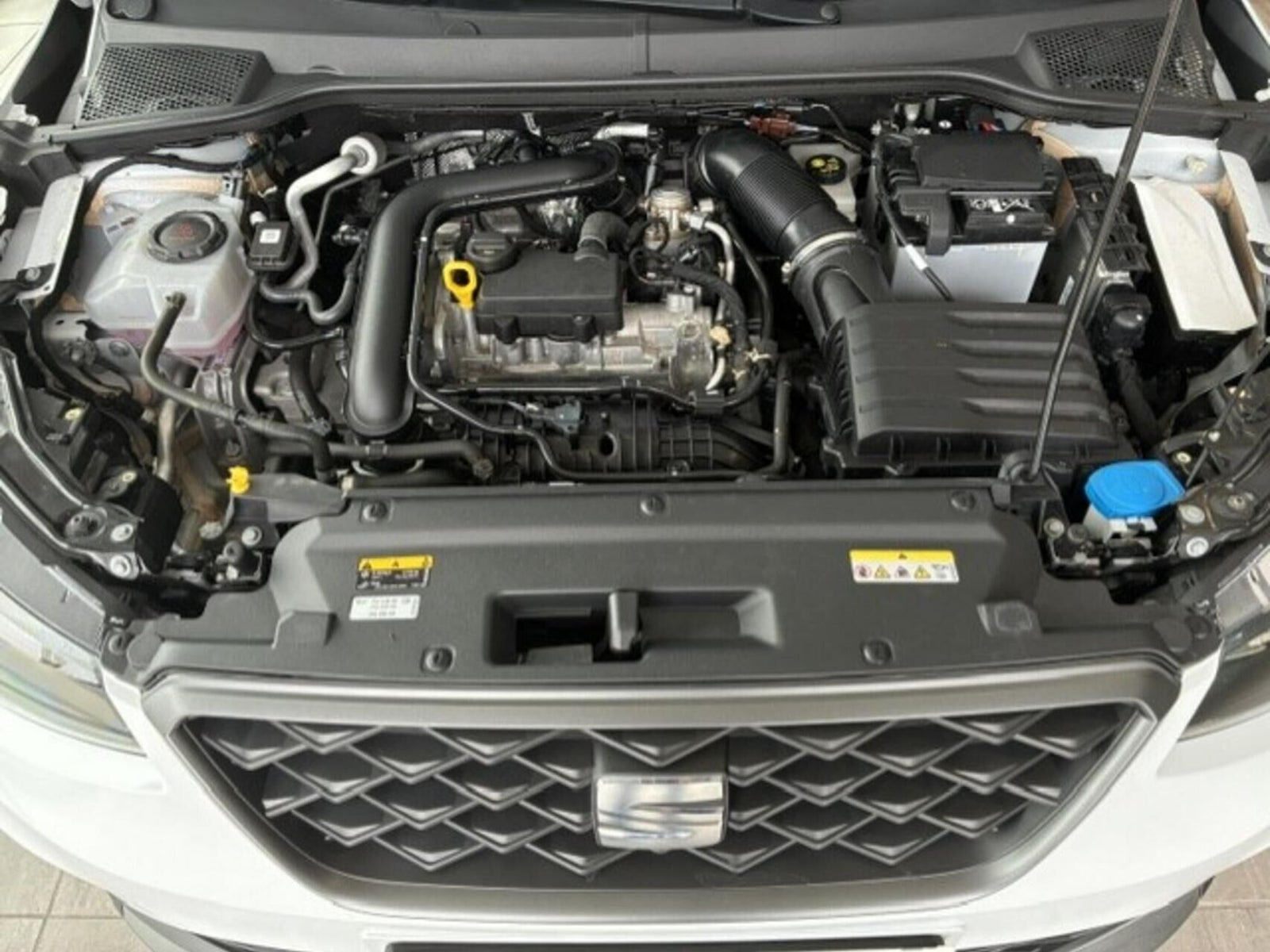 Beige Seat Arona fra 2023