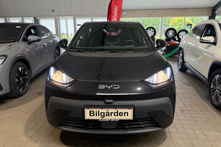 Sort BYD Dolphin Surf fra 2025