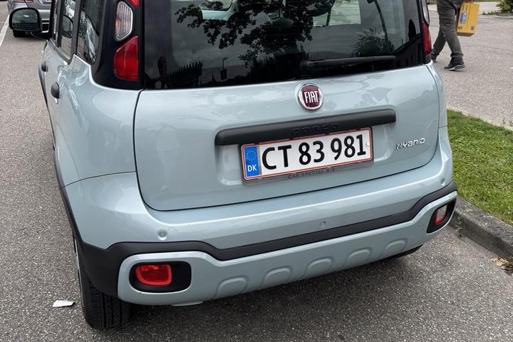 Grøn Fiat Panda fra 2020