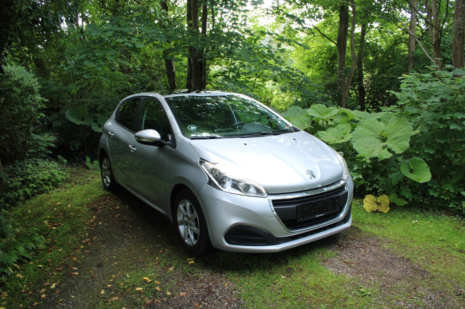 Sølv Peugeot 208 fra 2016