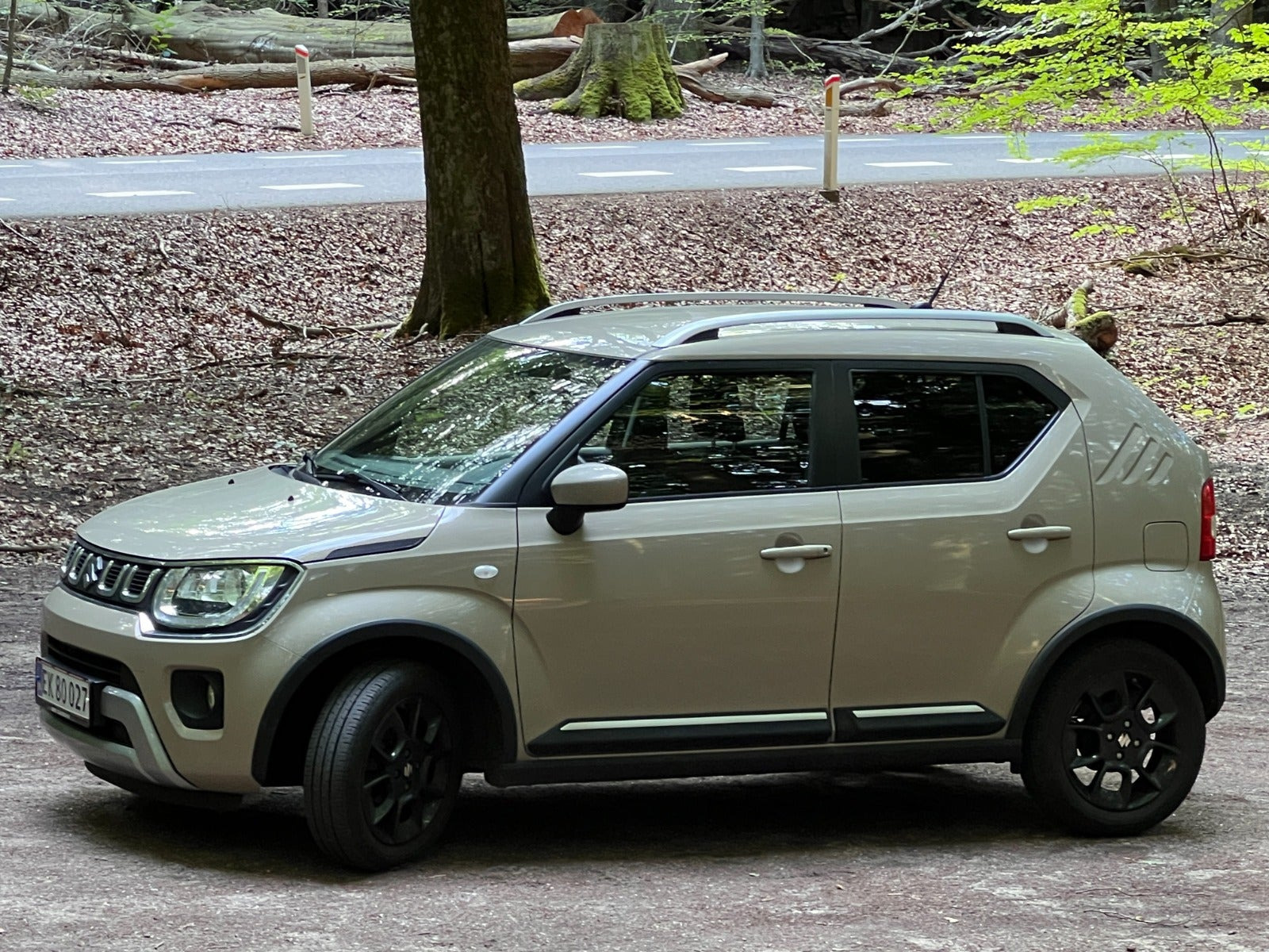 Beige Suzuki Ignis fra 2021