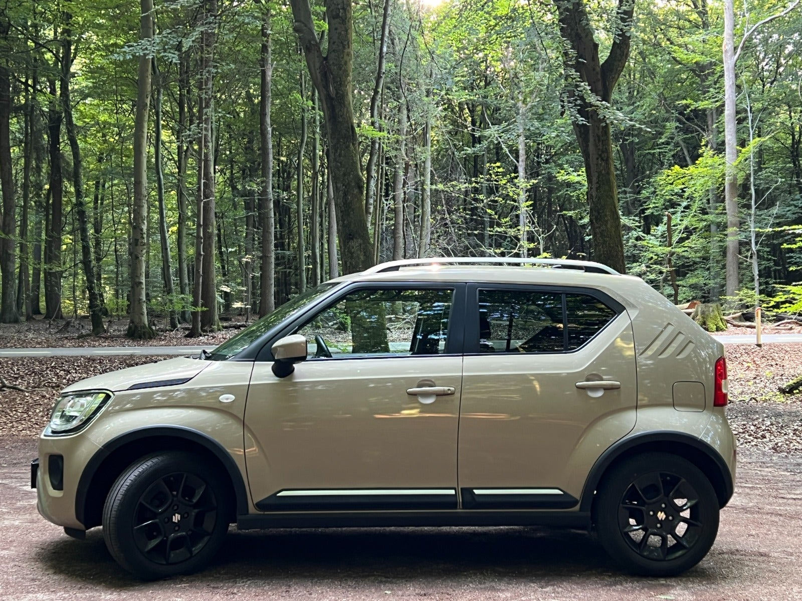 Beige Suzuki Ignis fra 2021
