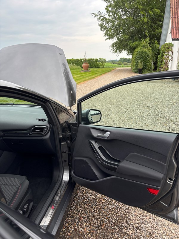 undefined Ford Fiesta fra 2021