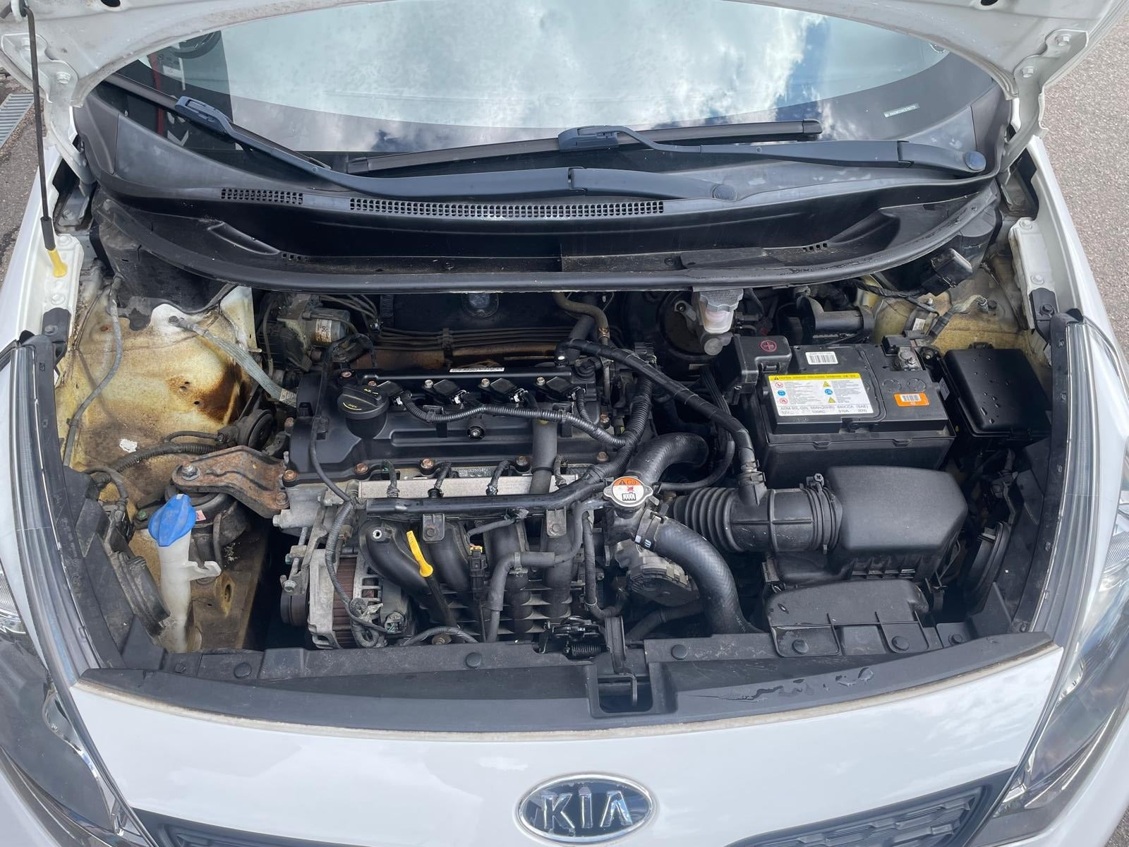 Grøn Kia Rio fra 2012