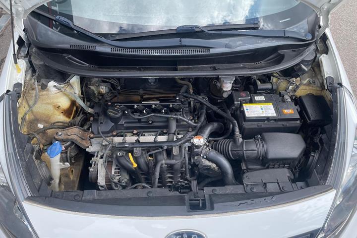 Grøn Kia Rio fra 2012