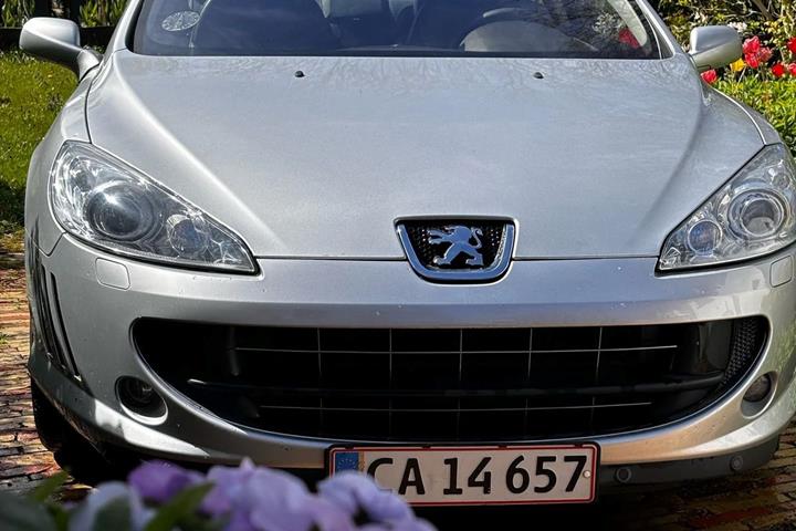 Sølv Peugeot 407 fra 2006