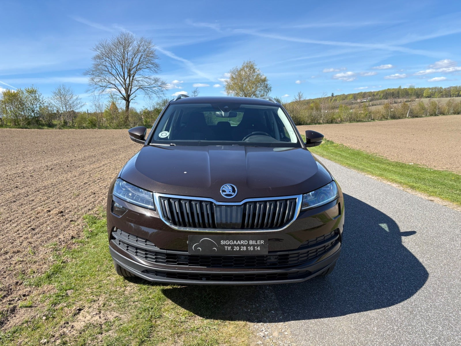 Brun Skoda Karoq fra 2019