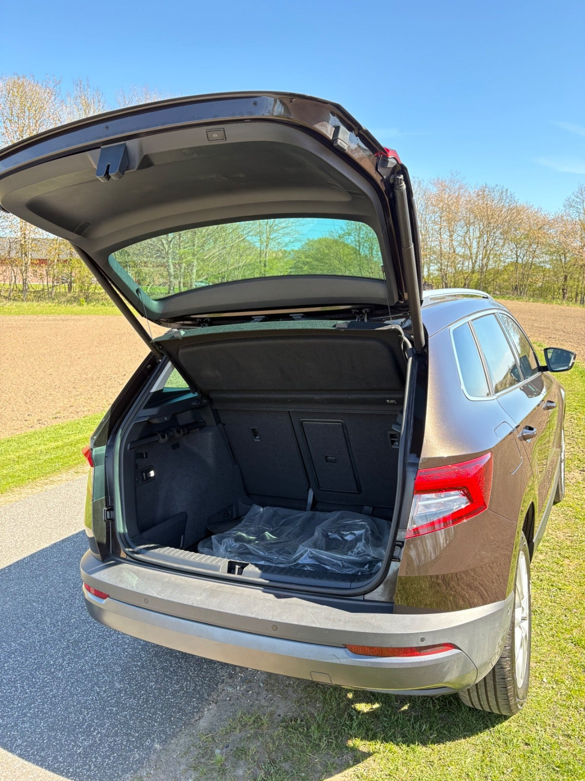 Brun Skoda Karoq fra 2019