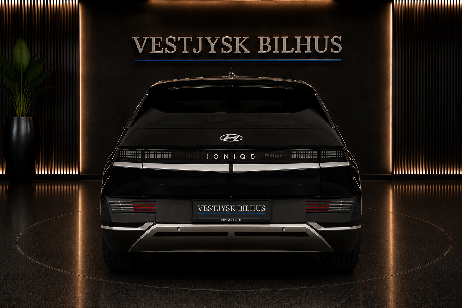 undefined Hyundai Ioniq 5 fra 2024