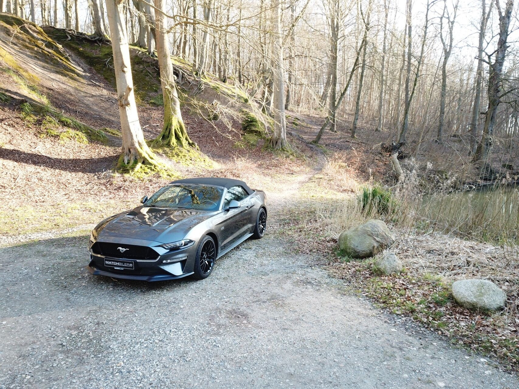 Ford Mustang 5,0 GT 441HK Cabr. Aut.