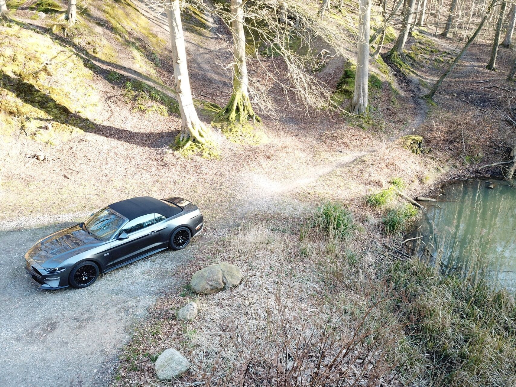 Grå Ford Mustang fra 2015