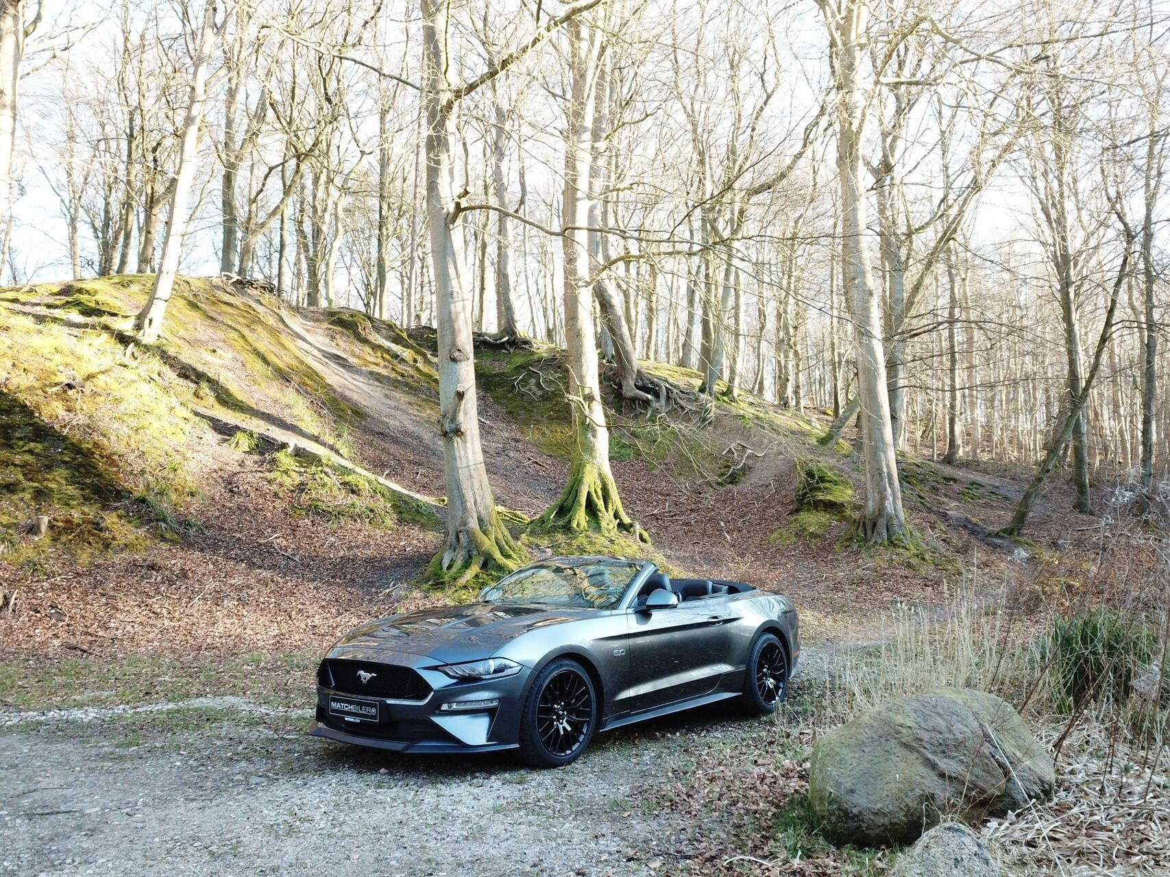 Grå Ford Mustang fra 2015