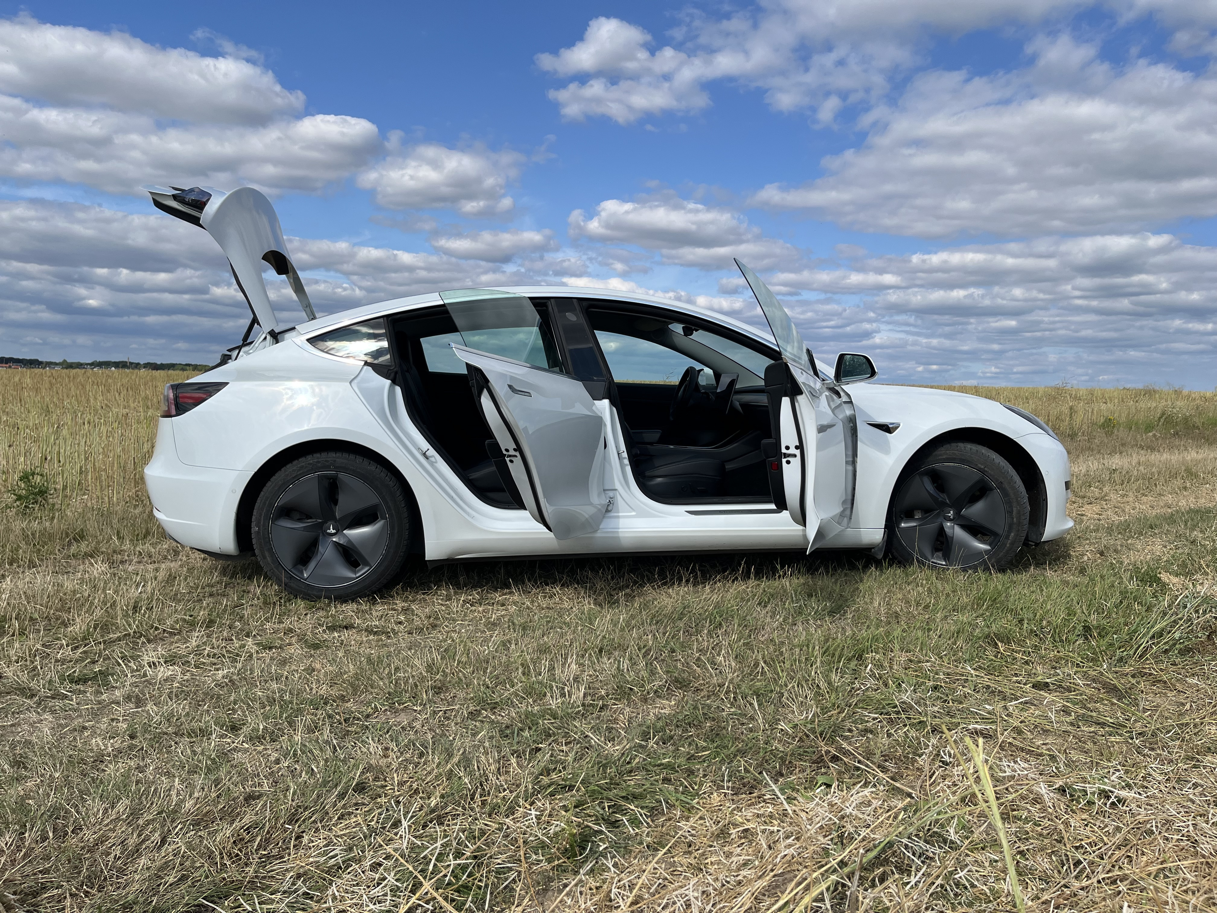 Hvid Tesla Model 3 fra 2020
