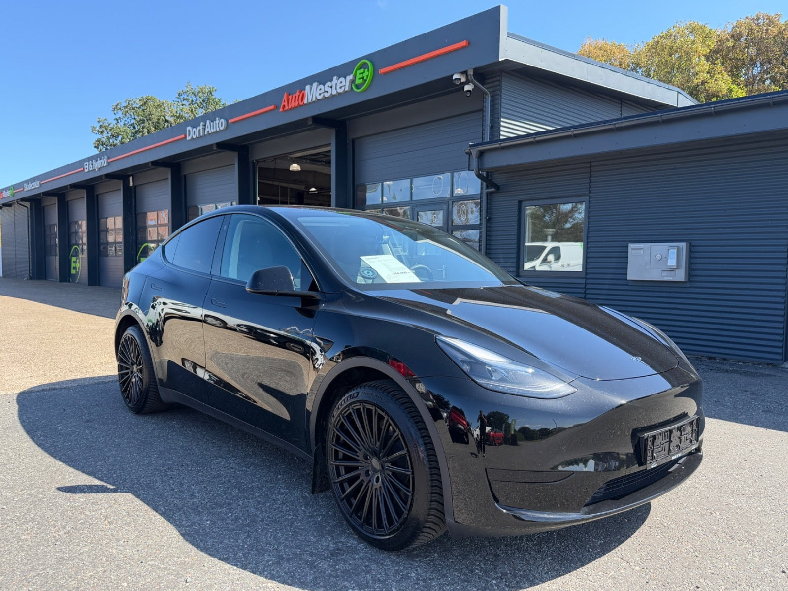 Tesla Model Y RWD