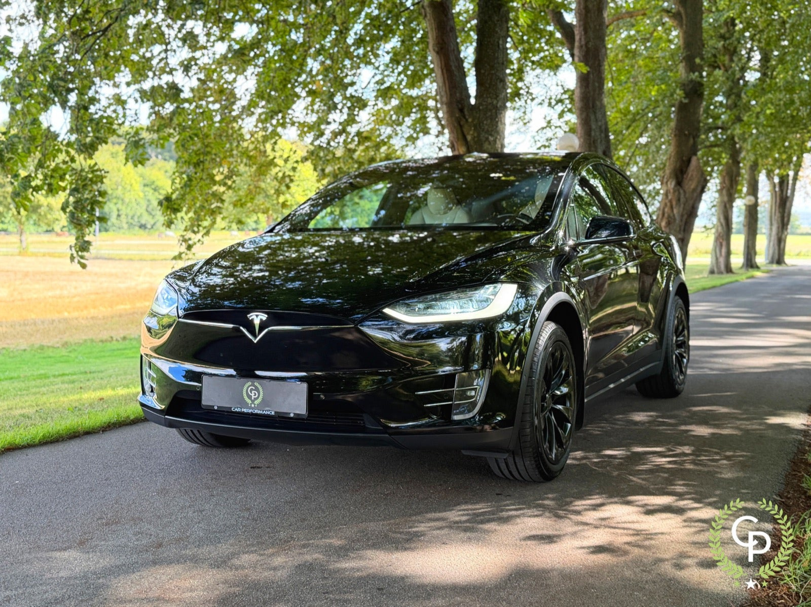 Tesla Model X Ludicrous Performance AWD