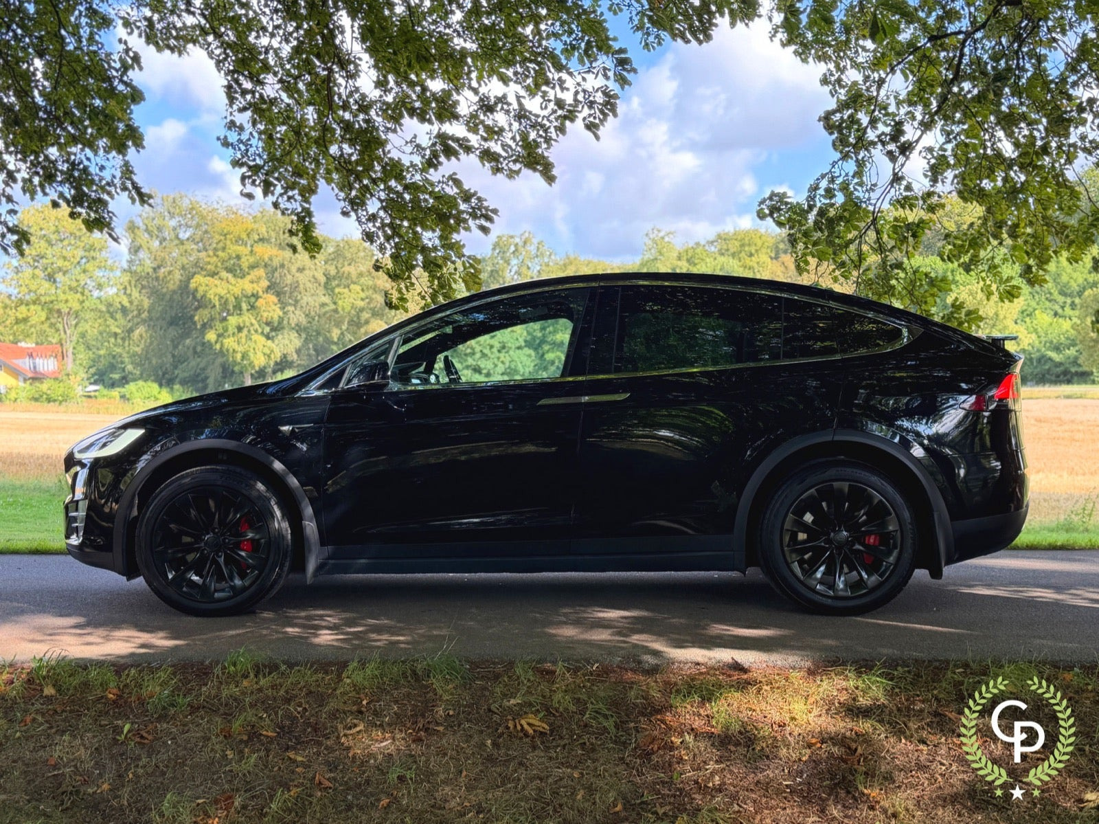 Sort Tesla Model X fra 2020