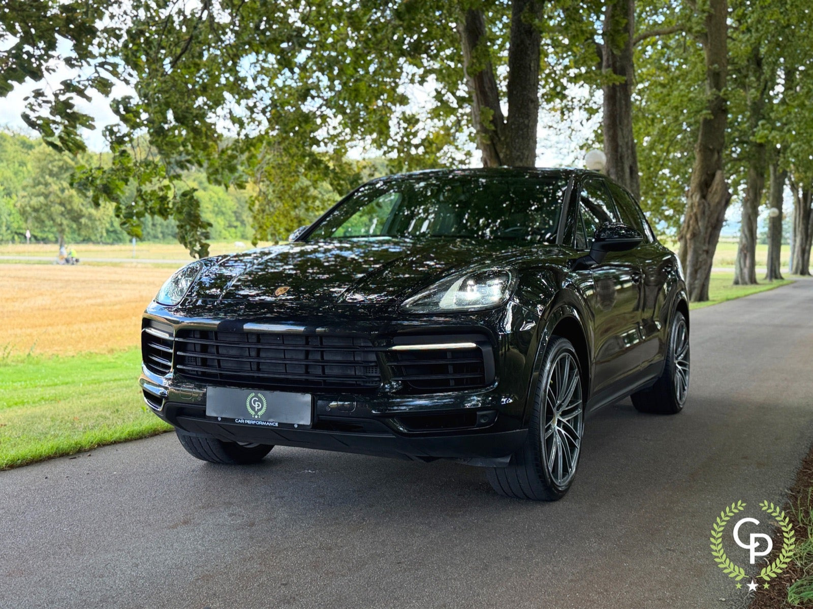 Porsche Cayenne 3,0 E-Hybrid Tiptr.