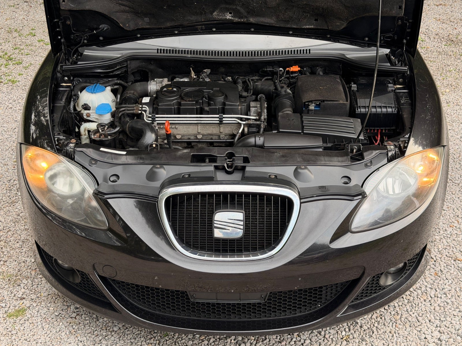 undefined Seat Leon fra 2008
