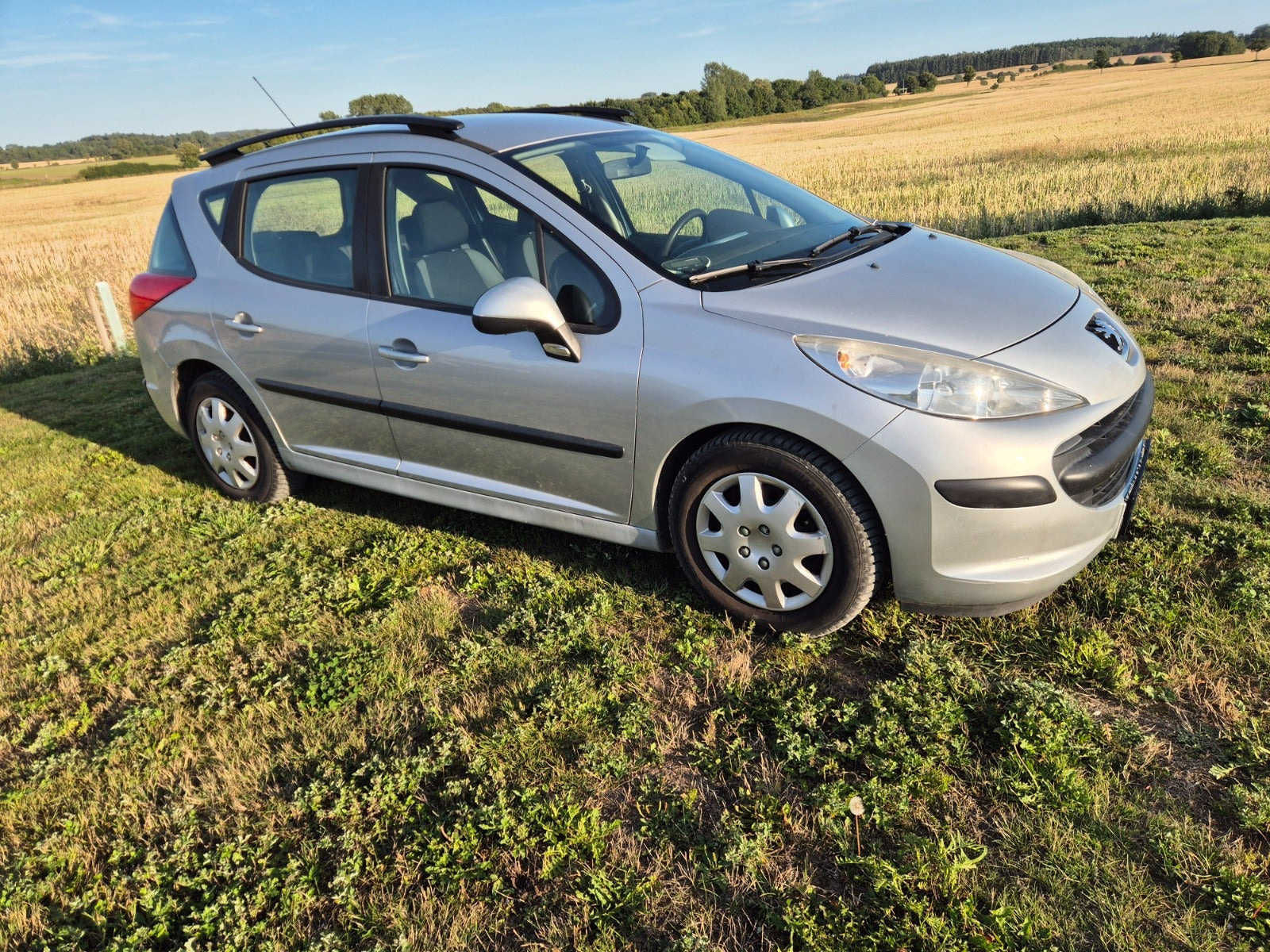 Sølv Peugeot 207 fra 2008