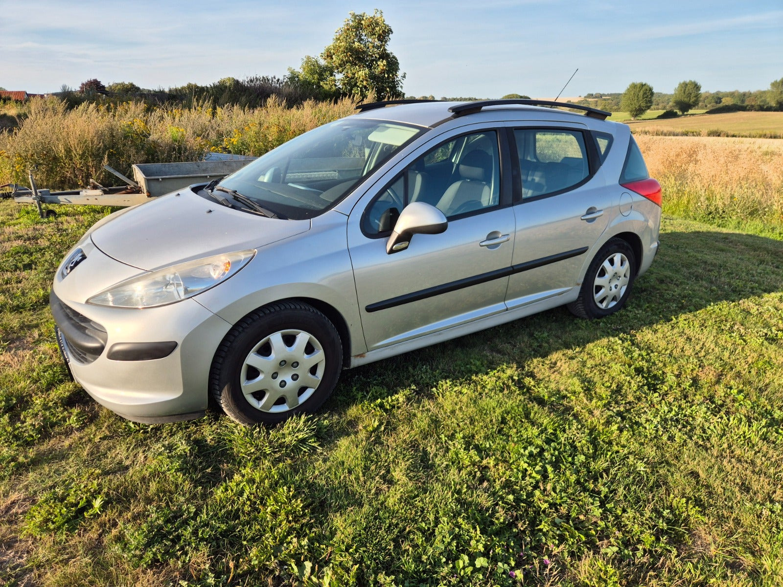 Sølv Peugeot 207 fra 2008