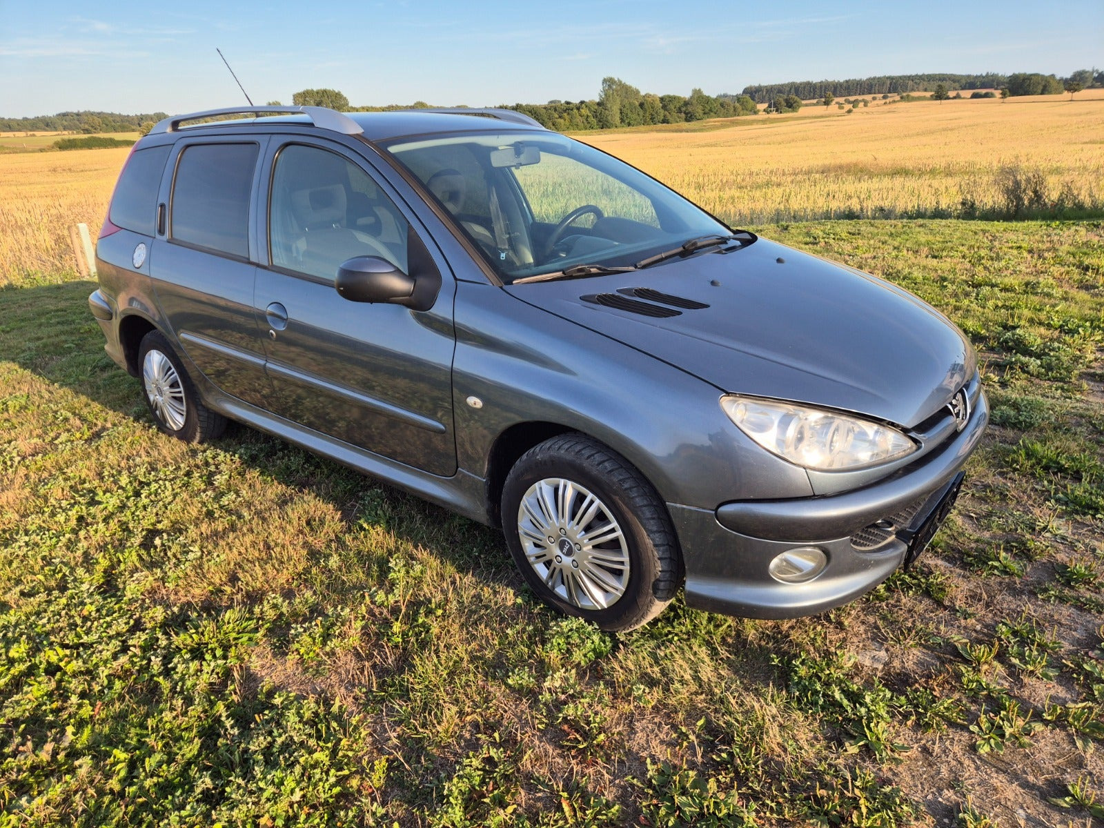 Grå Peugeot 206 fra 2006
