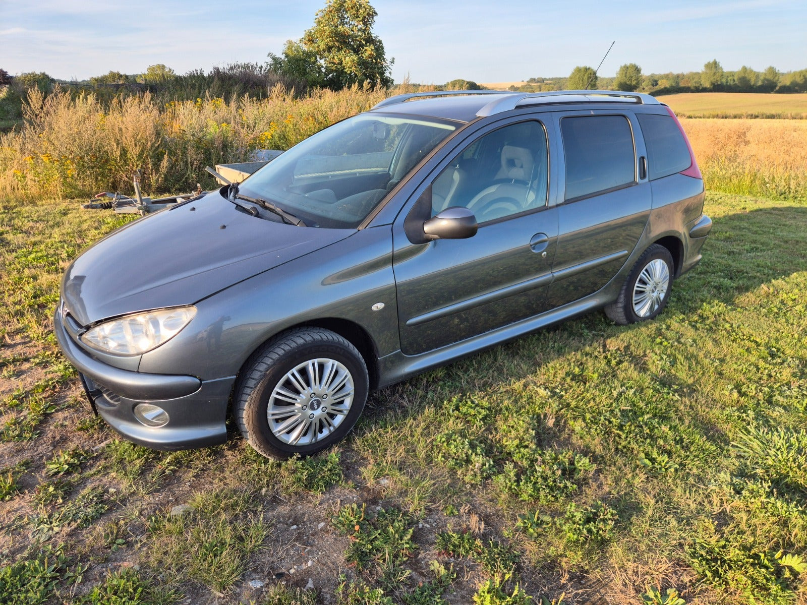 Grå Peugeot 206 fra 2006