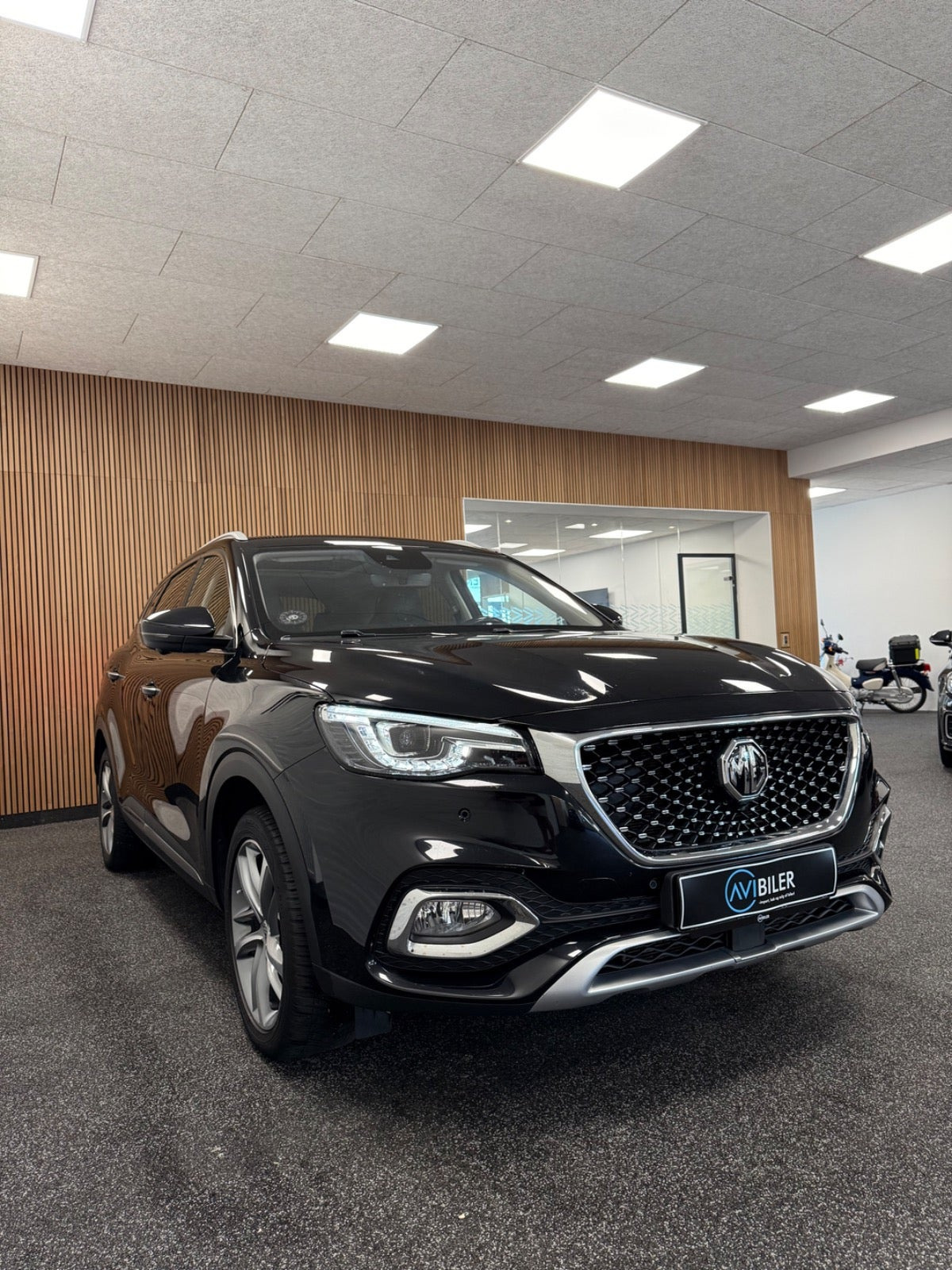 Sort MG EHS fra 2022