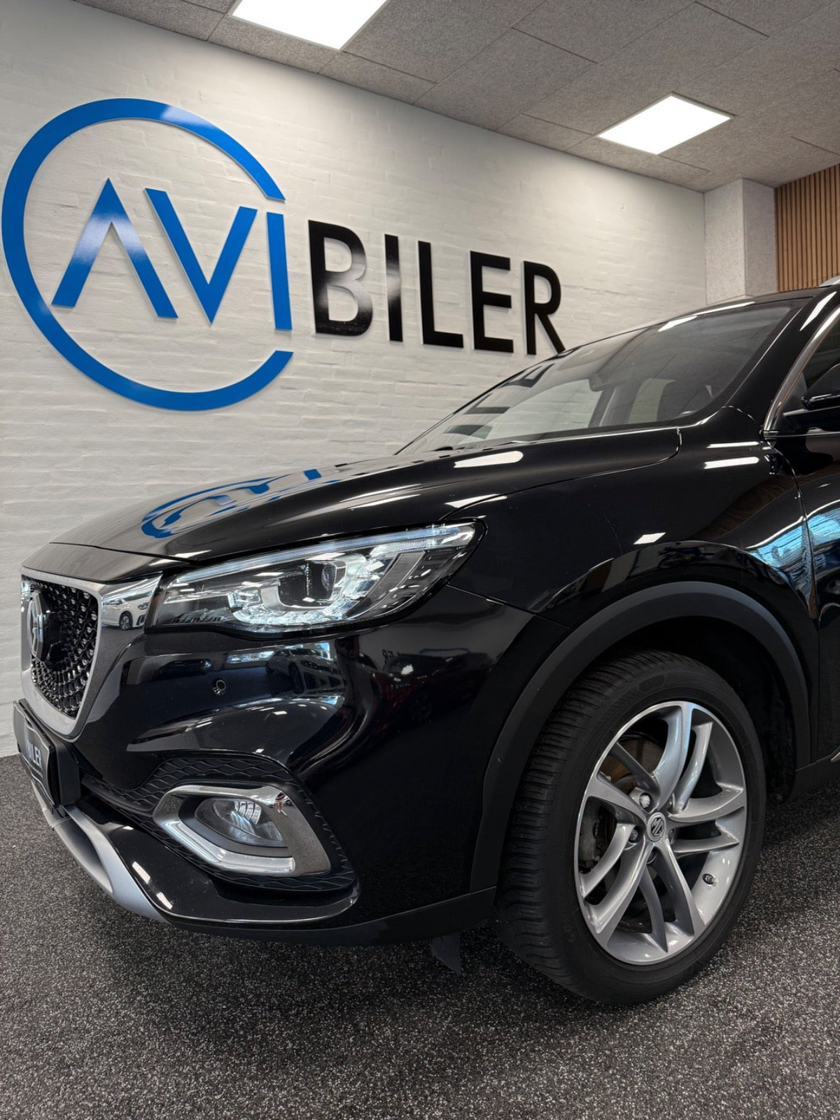Sort MG EHS fra 2022