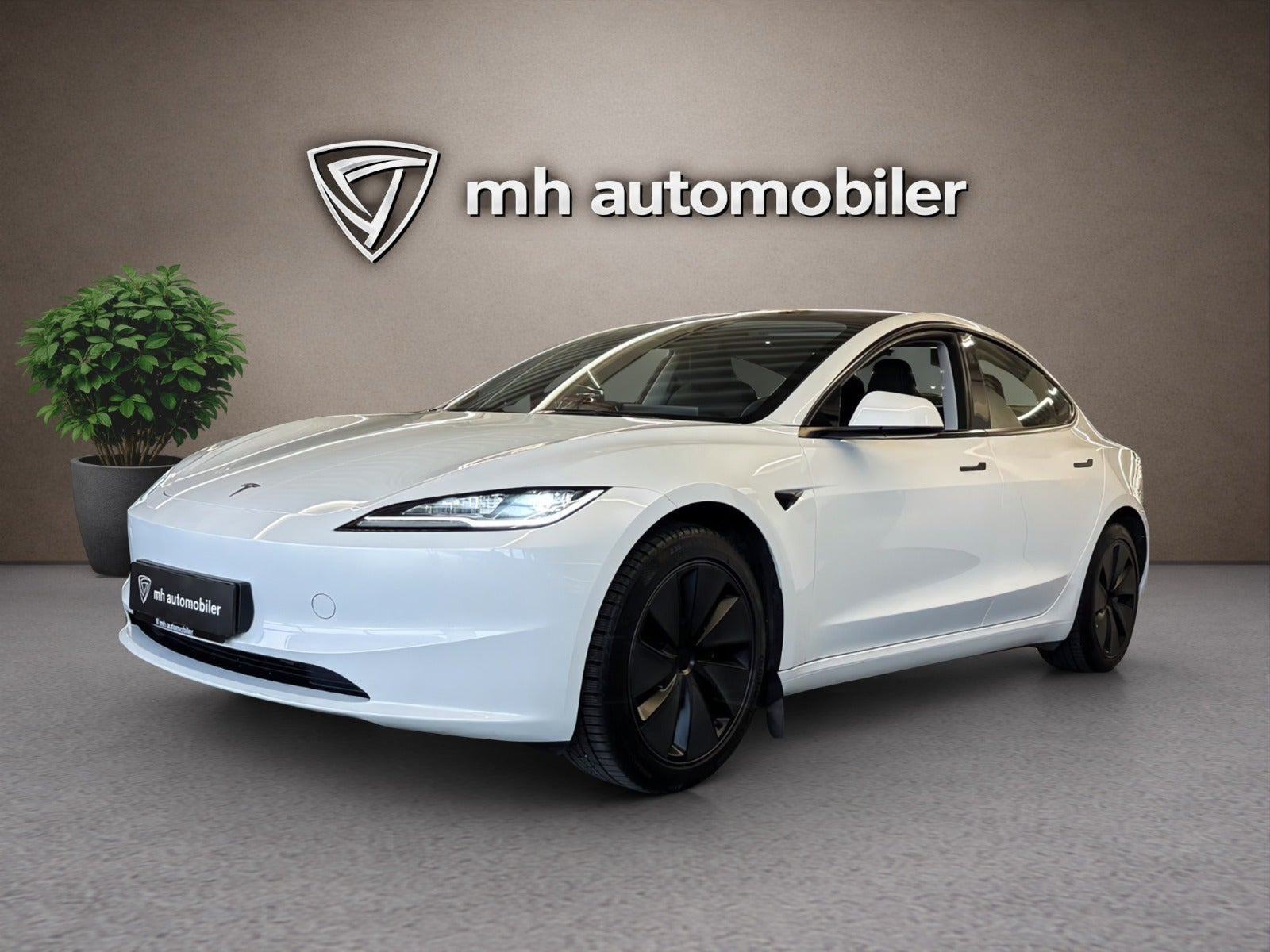 Tesla Model 3 RWD
