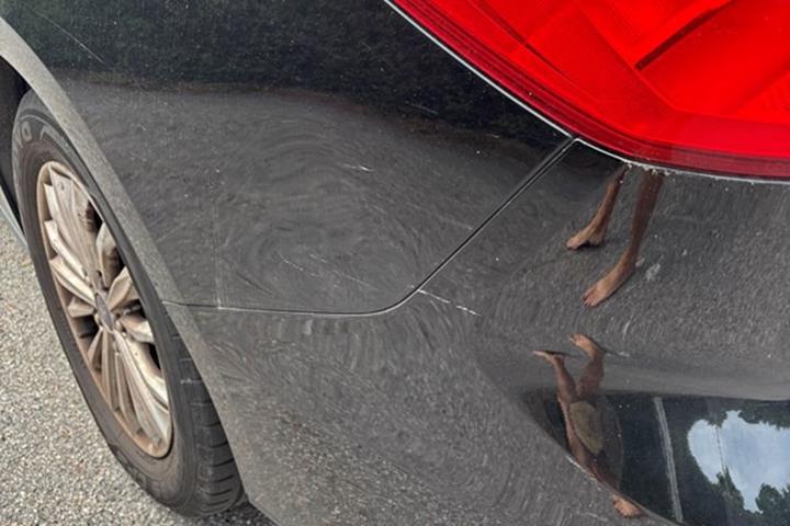 undefined Ford Focus fra 2019