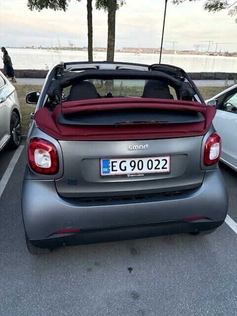 Grå Smart Fortwo fra 2019