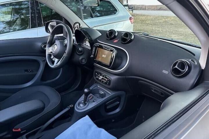 Grå Smart Fortwo fra 2019