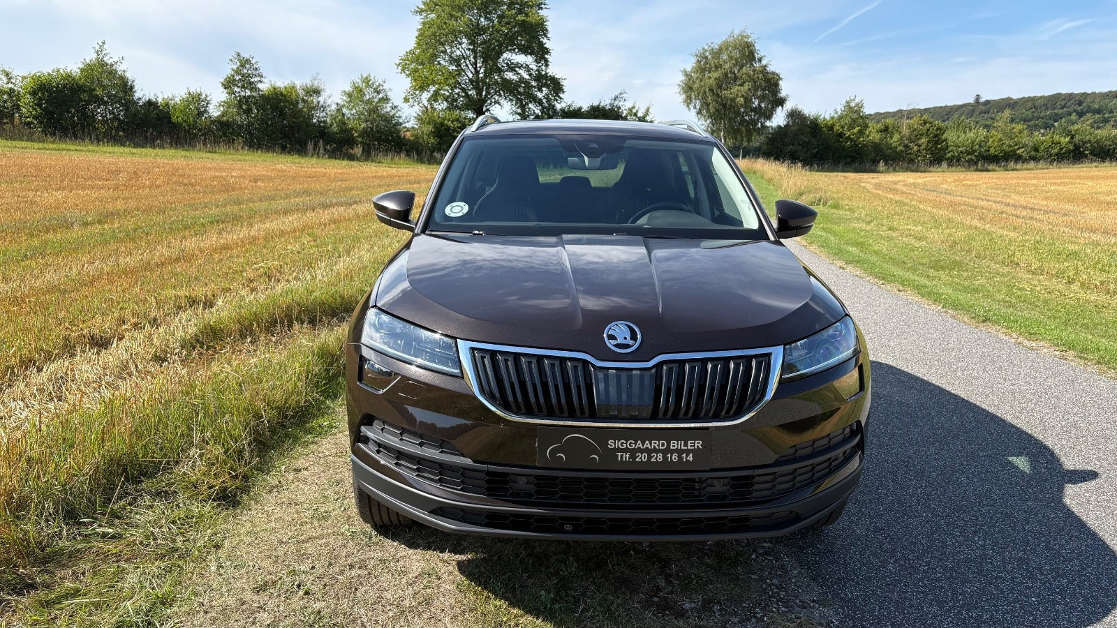 Brun Skoda Karoq fra 2019